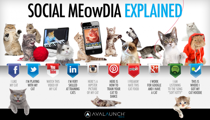 Infographics: SOCIAL ME(ow)DIA EXPLAINED…